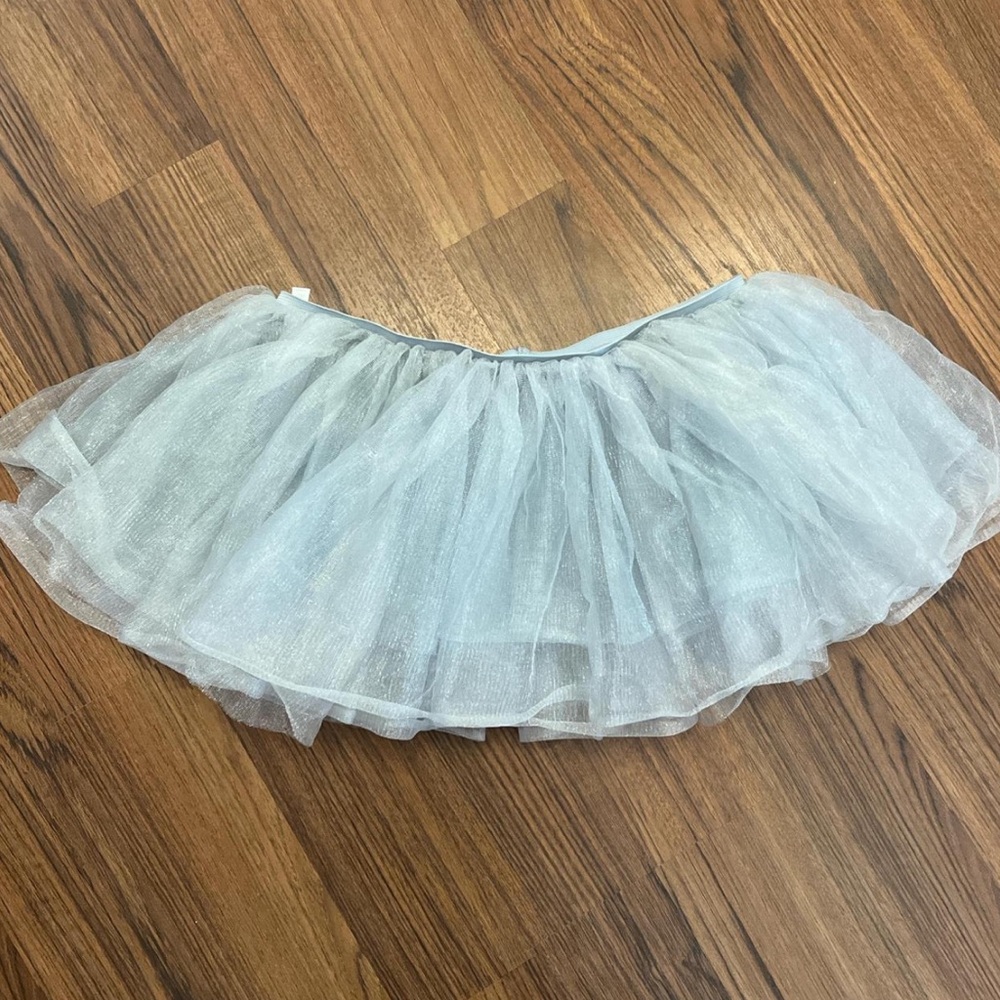 Silver Tulle Skirt